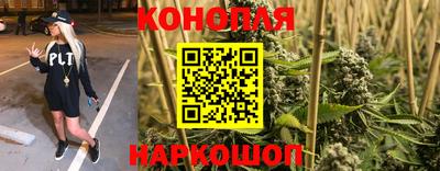 амф Обь
